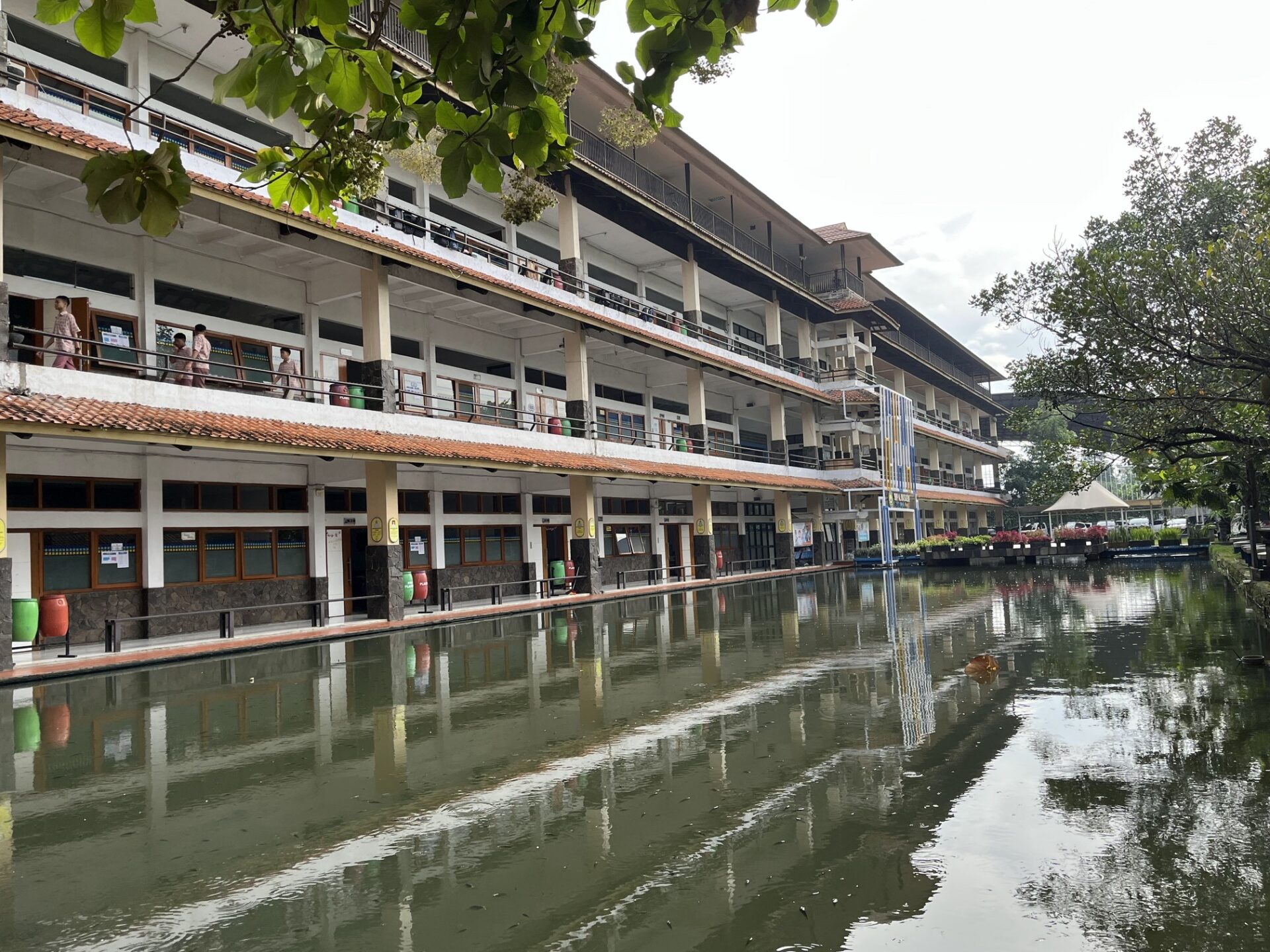 Bimbingan SNBP di Sekolah: Seberapa Penting untuk Siswa?