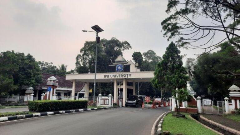 Syarat Pendaftaran Ujian Mandiri IPB: Langkah-langkah Mendaftar dan Persyaratan yang Perlu Dipenuhi