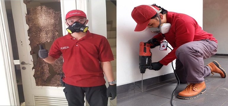 Rekomendasi Jasa Anti Rayap Terbaik untuk Perlindungan Bangunan yang Aman dan Tahan Lama