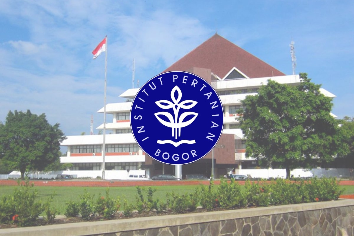 Prediksi Passing Grade IPB SNBT 2026 Berdasarkan Data Tahun Lalu