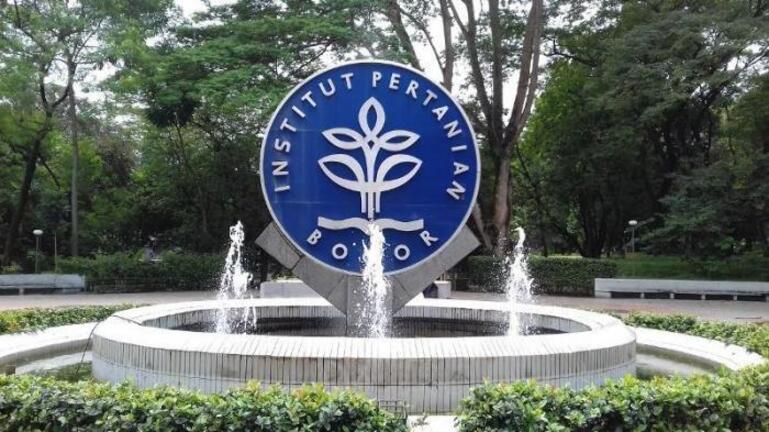 Sistem Penilaian Ujian IPB Apa yang Perlu Kamu Ketahui Sebelum Ujian