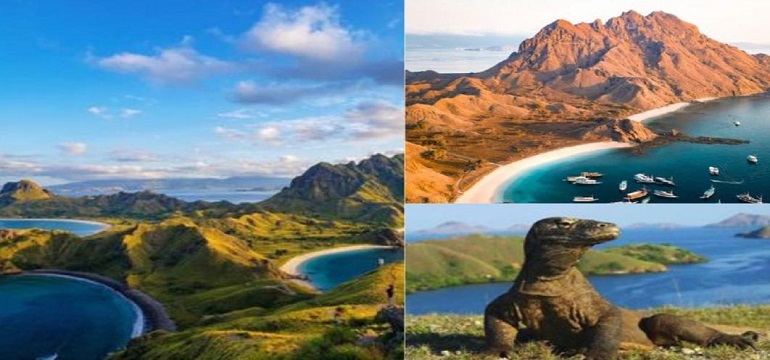 Petualangan Komodo dari Lombok Menuju Labuan Bajo yang Penuh Pesona