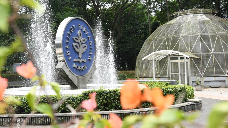 Hasil Seleksi IPB: Apa yang Perlu Diketahui Sebelum Pengumuman?