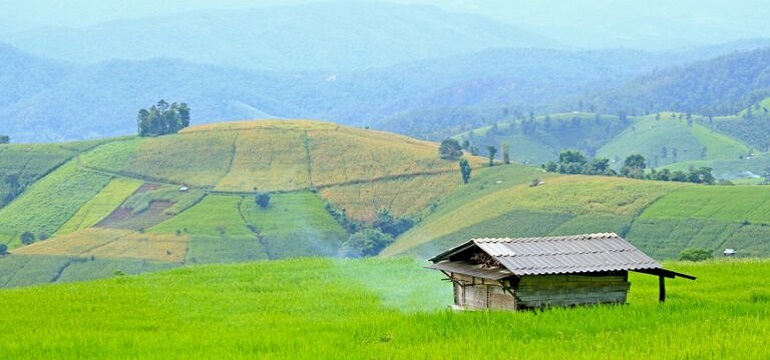 DLH Kabupaten Lebak Mewujudkan Lingkungan Bersih dan Berkelanjutan